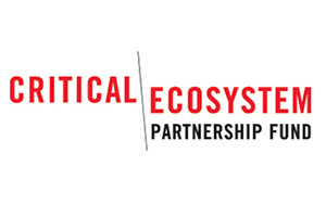 sponsors-CEPF-logo